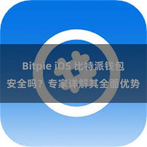 Bitpie iOS 比特派钱包安全吗？专家详解其全面优势