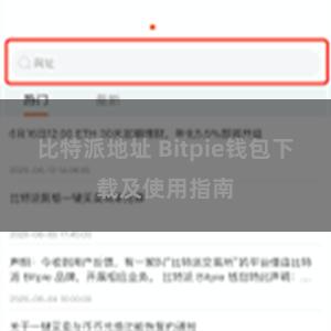 比特派地址 Bitpie钱包下载及使用指南