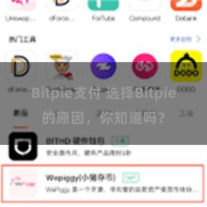 Bitpie支付 选择Bitpie的原因，你知道吗？