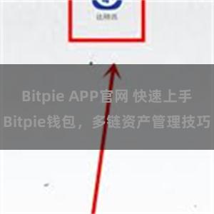 Bitpie APP官网 快速上手Bitpie钱包，多链资产管理技巧