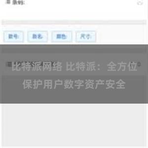 比特派网络 比特派：全方位保护用户数字资产安全