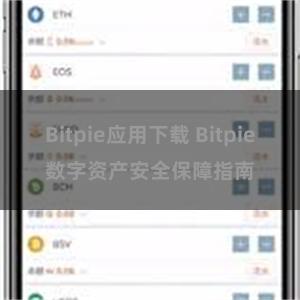 Bitpie应用下载 Bitpie数字资产安全保障指南