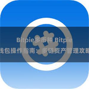 Bitpie多币种 Bitpie钱包操作指南：多链资产管理攻略