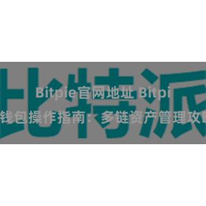 Bitpie官网地址 Bitpie钱包操作指南：多链资产管理攻略