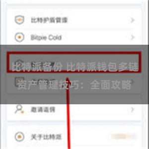 比特派备份 比特派钱包多链资产管理技巧：全面攻略