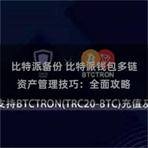 比特派备份 比特派钱包多链资产管理技巧：全面攻略