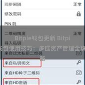 Bitpie钱包更新 Bitpie钱包使用技巧：多链资产管理全攻略