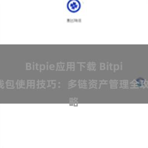 Bitpie应用下载 Bitpie钱包使用技巧：多链资产管理全攻略