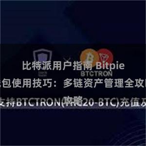 比特派用户指南 Bitpie钱包使用技巧：多链资产管理全攻略