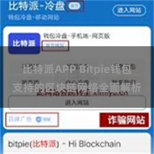 比特派APP Bitpie钱包支持的区块链网络全面解析