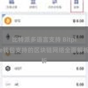 比特派多语言支持 Bitpie钱包支持的区块链网络全面解析