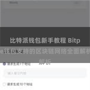 比特派钱包新手教程 Bitpie钱包支持的区块链网络全面解析