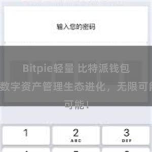 Bitpie轻量 比特派钱包：数字资产管理生态进化，无限可能！