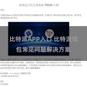 比特派APP入口 比特派钱包常见问题解决方案