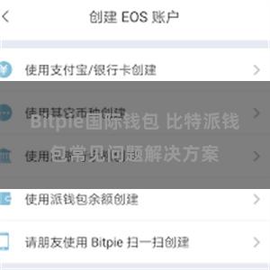 Bitpie国际钱包 比特派钱包常见问题解决方案