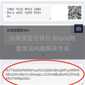 比特派官方钱包 Bitpie钱包常见问题解决方法