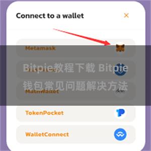 Bitpie教程下载 Bitpie钱包常见问题解决方法