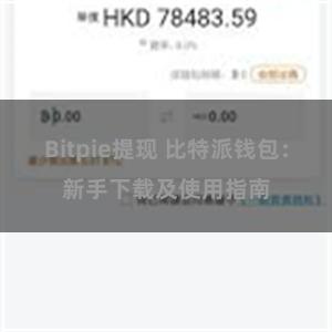 Bitpie提现 比特派钱包：新手下载及使用指南