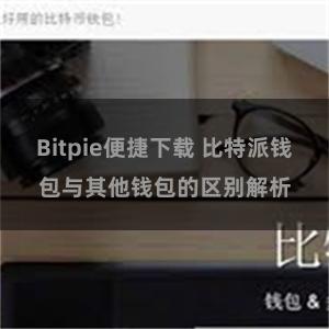 Bitpie便捷下载 比特派钱包与其他钱包的区别解析