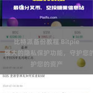 比特派备份教程 Bitpie钱包：强大的隐私保护功能，守护您的资产