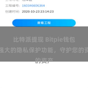 比特派提现 Bitpie钱包：强大的隐私保护功能，守护您的资产