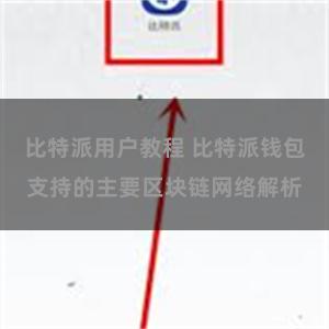 比特派用户教程 比特派钱包支持的主要区块链网络解析