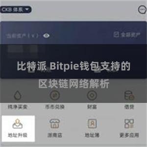 比特派 Bitpie钱包支持的区块链网络解析