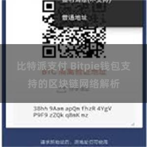 比特派支付 Bitpie钱包支持的区块链网络解析