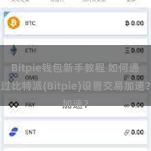 Bitpie钱包新手教程 如何通过比特派(Bitpie)设置交易加速？