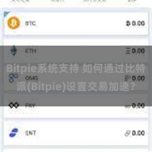 Bitpie系统支持 如何通过比特派(Bitpie)设置交易加速？