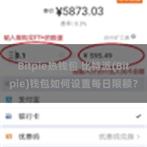 Bitpie热钱包 比特派(Bitpie)钱包如何设置每日限额？